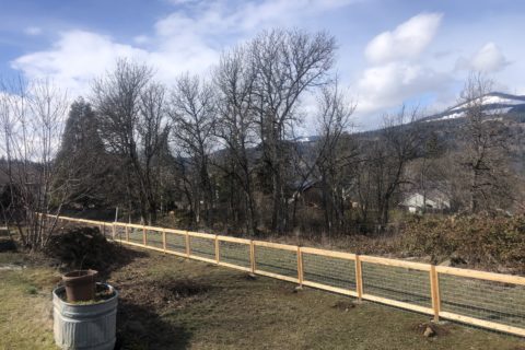 New cedar and wire grid property line fence.